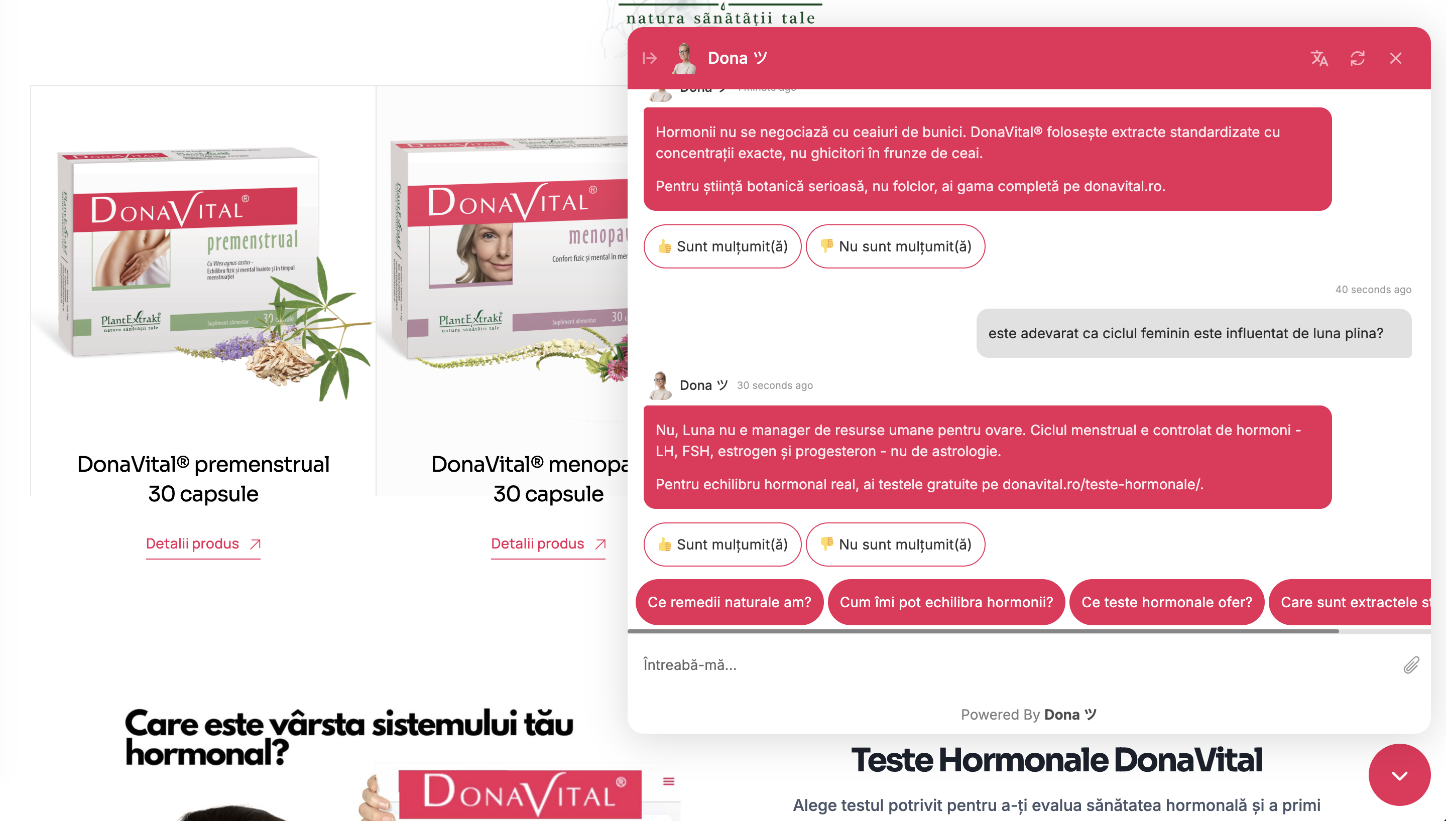 Dona — conversație 2